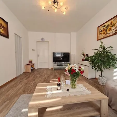 In Zwickau, Cleaning Included