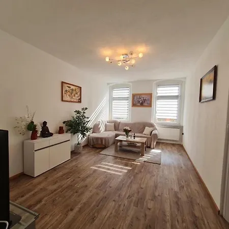 Appartamento In Zwickau, Cleaning Included