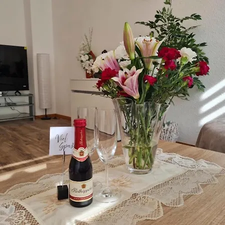 Appartamento In Zwickau, Cleaning Included Zwickau