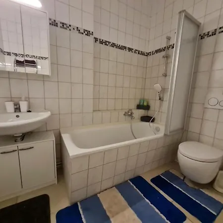 Appartamento In Zwickau, Cleaning Included *